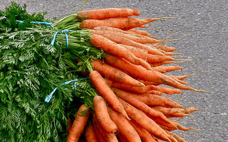 Naas Farmers Market: Co Kildare