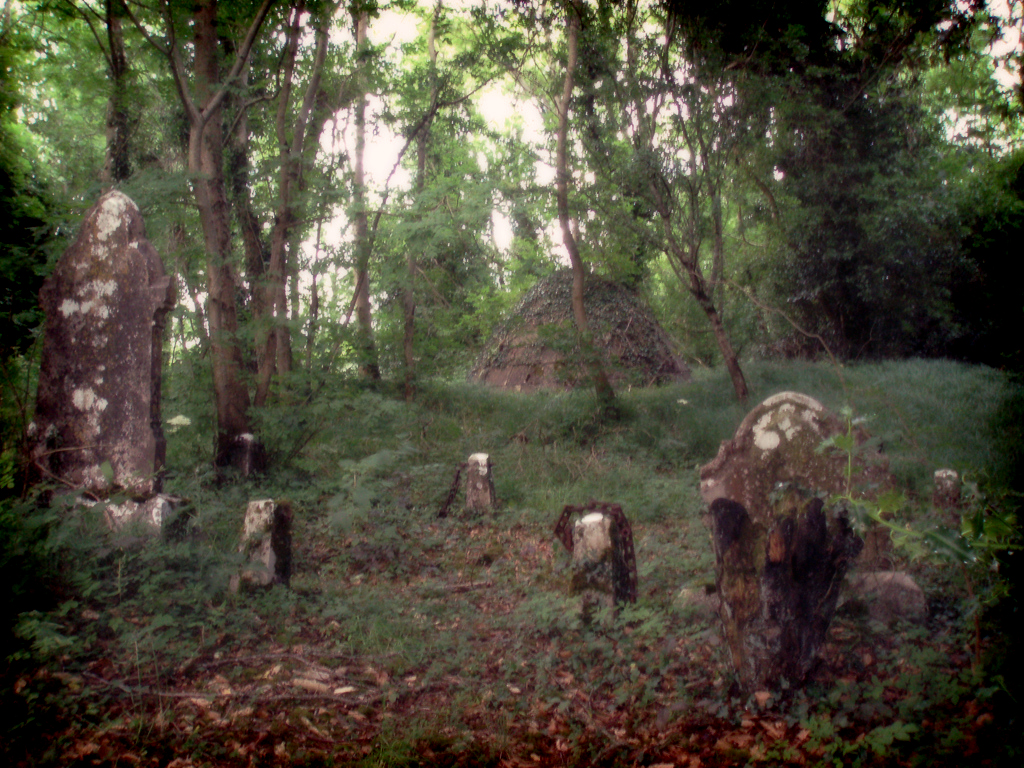 Beehive Tomb: Reynella, Co Westmeath