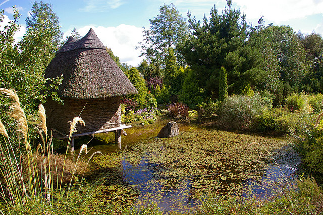 Celtic Plantarum: Dundrum, Co Tipperary