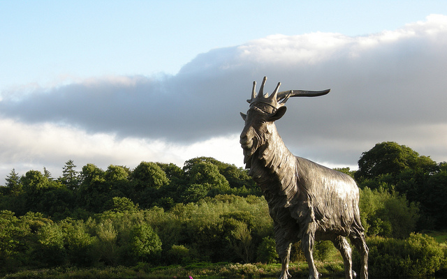 Puck the Goat King of the Fair: Killorglin, Co Kerry