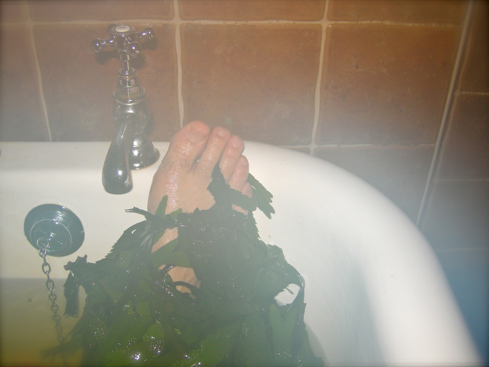 Seaweed bath in Sligo