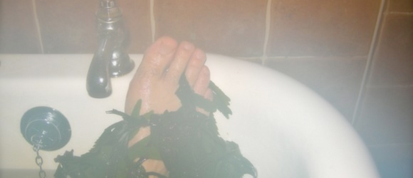 Soak in a Seaweed Bath: Strandhill, Co Sligo
