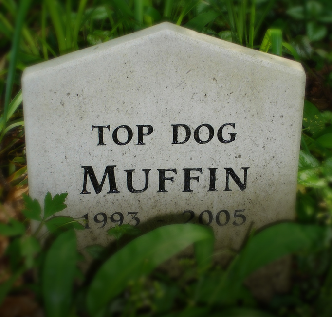 Pet Cemetery: Mount Usher Gardens, Co Wicklow