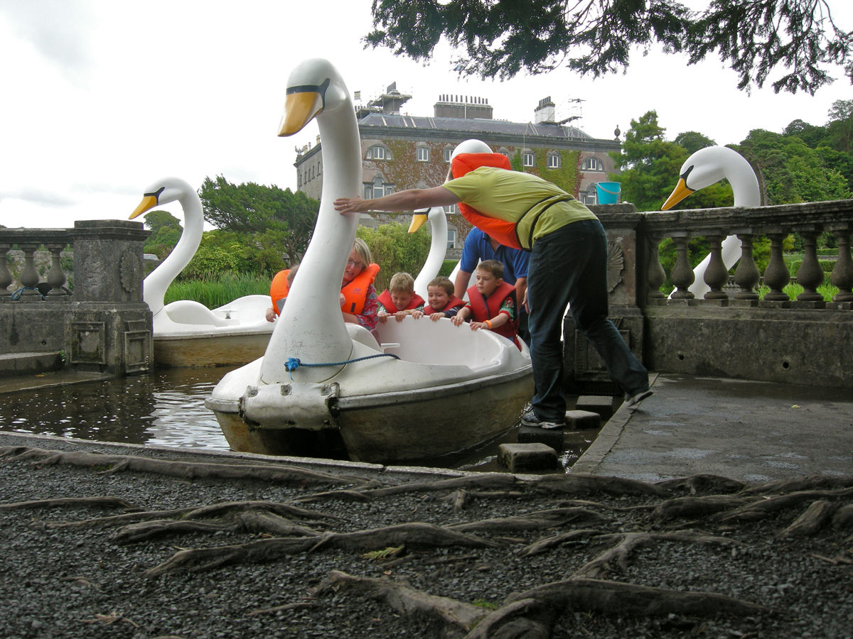 Paddle with the Swans: Westport, Co Mayo