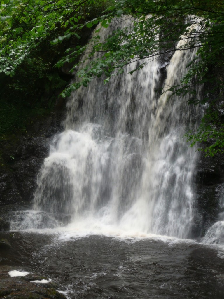 Glenariff Forest Walk - Photo by Christy Nicholas