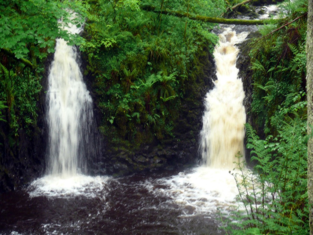 Glenariff Forest Walk - Photo by Christy Nicholas