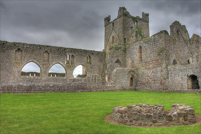 Dunbrody Abbey and Yew Hedge Maze: Dunbrody, Co. Wexford