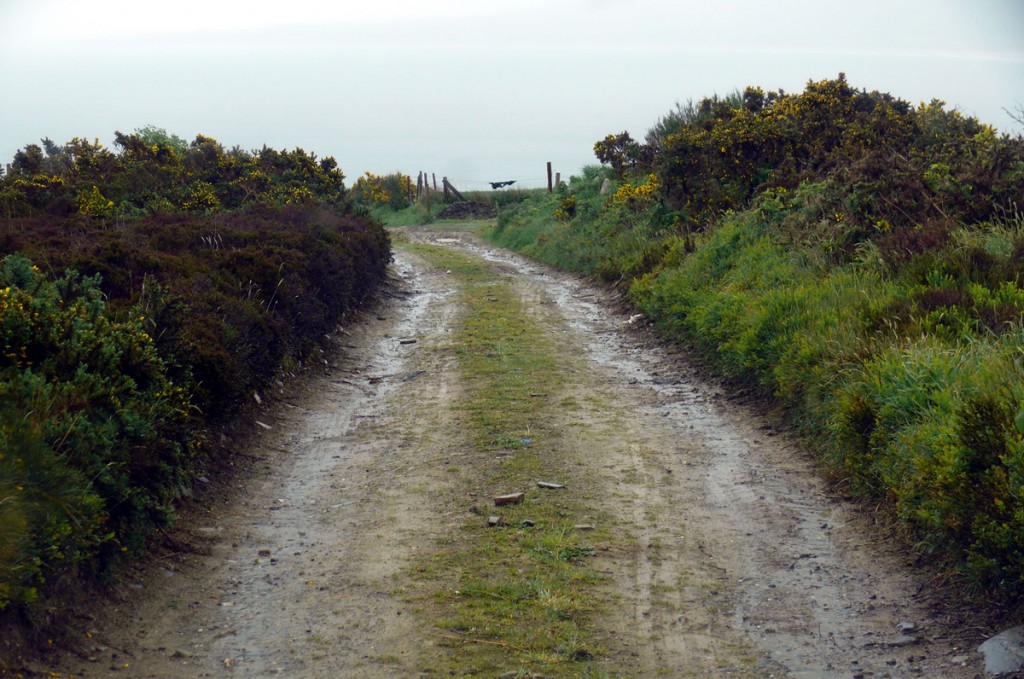 "Mis-guided" by our GPS on the Inis Eoghain 100 - Photo by Christy Nicholas