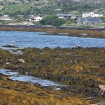 Derrigimlagh to Dog Bay - Photo by Christy Nicholas