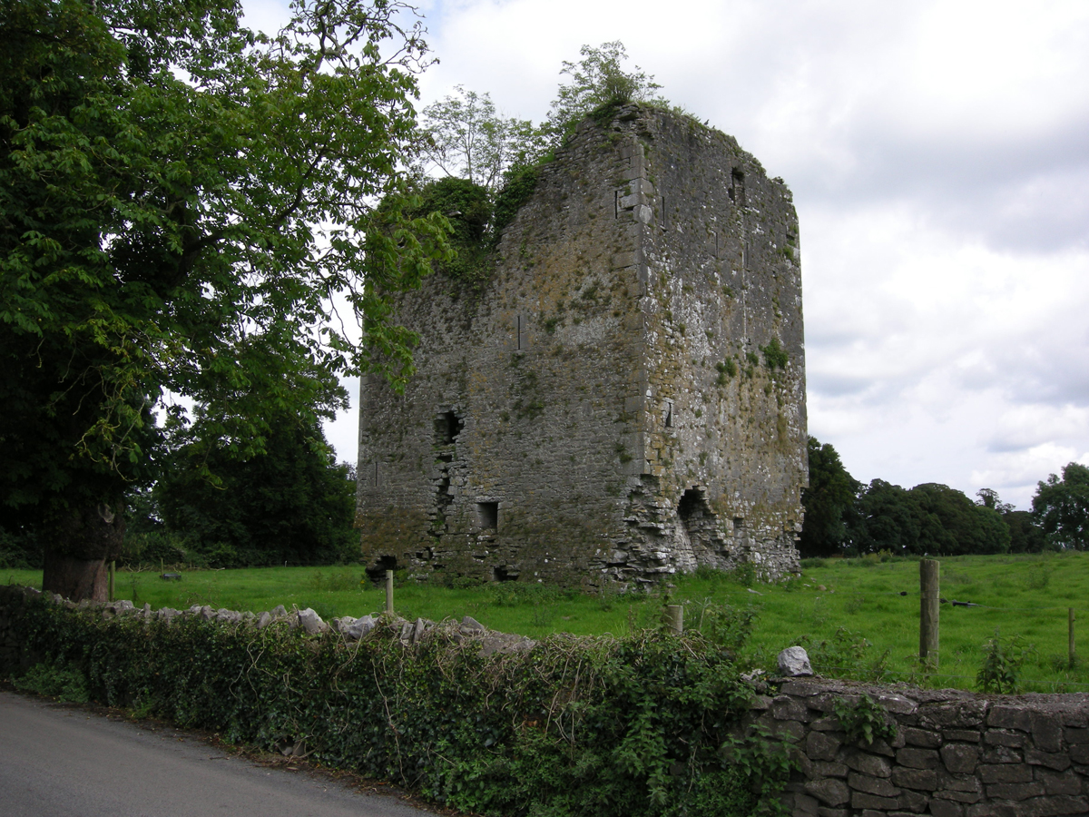 The Hidden Staircase at Ardmayle Castle: Ardmayle, Co Tipperary