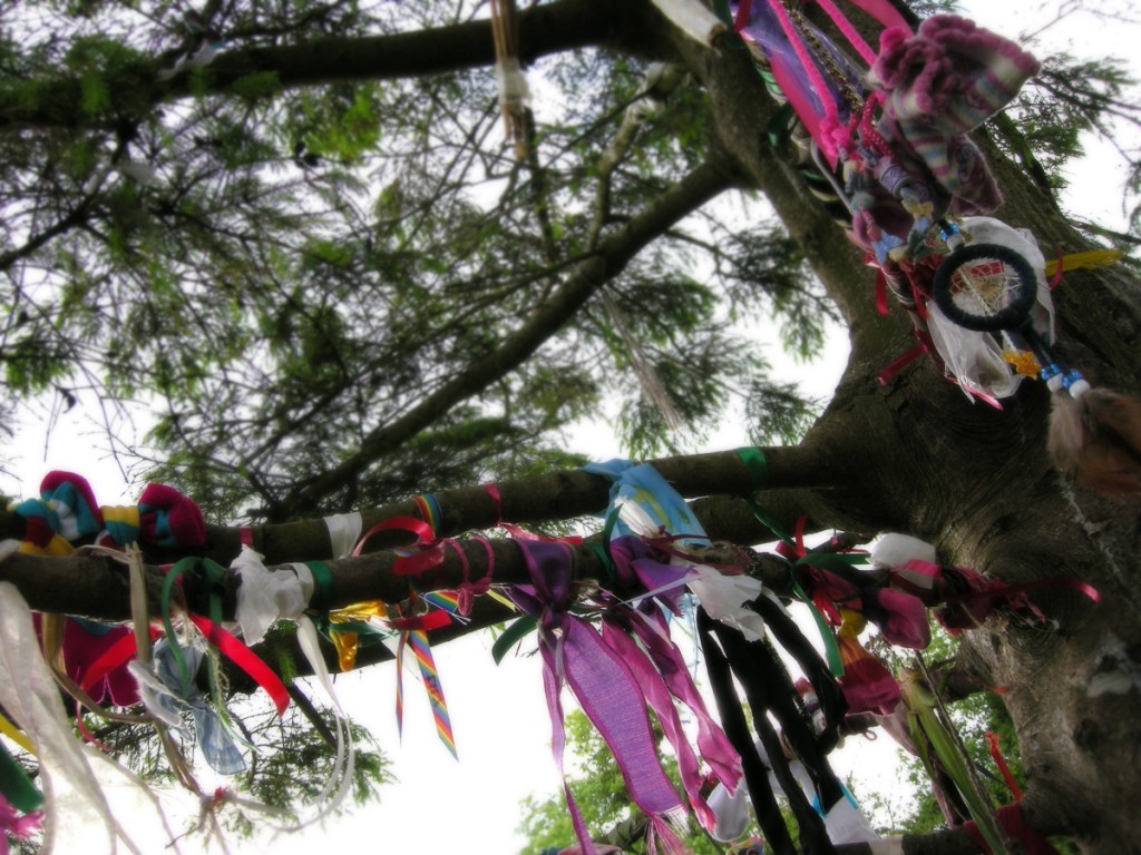 Prayer cloths tied to a tree at St Brigids Well - Photo by Corey Taratuta