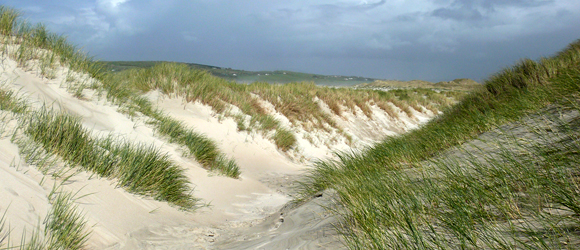 Sandy Seaside Inlet: Adara, Co Donegal