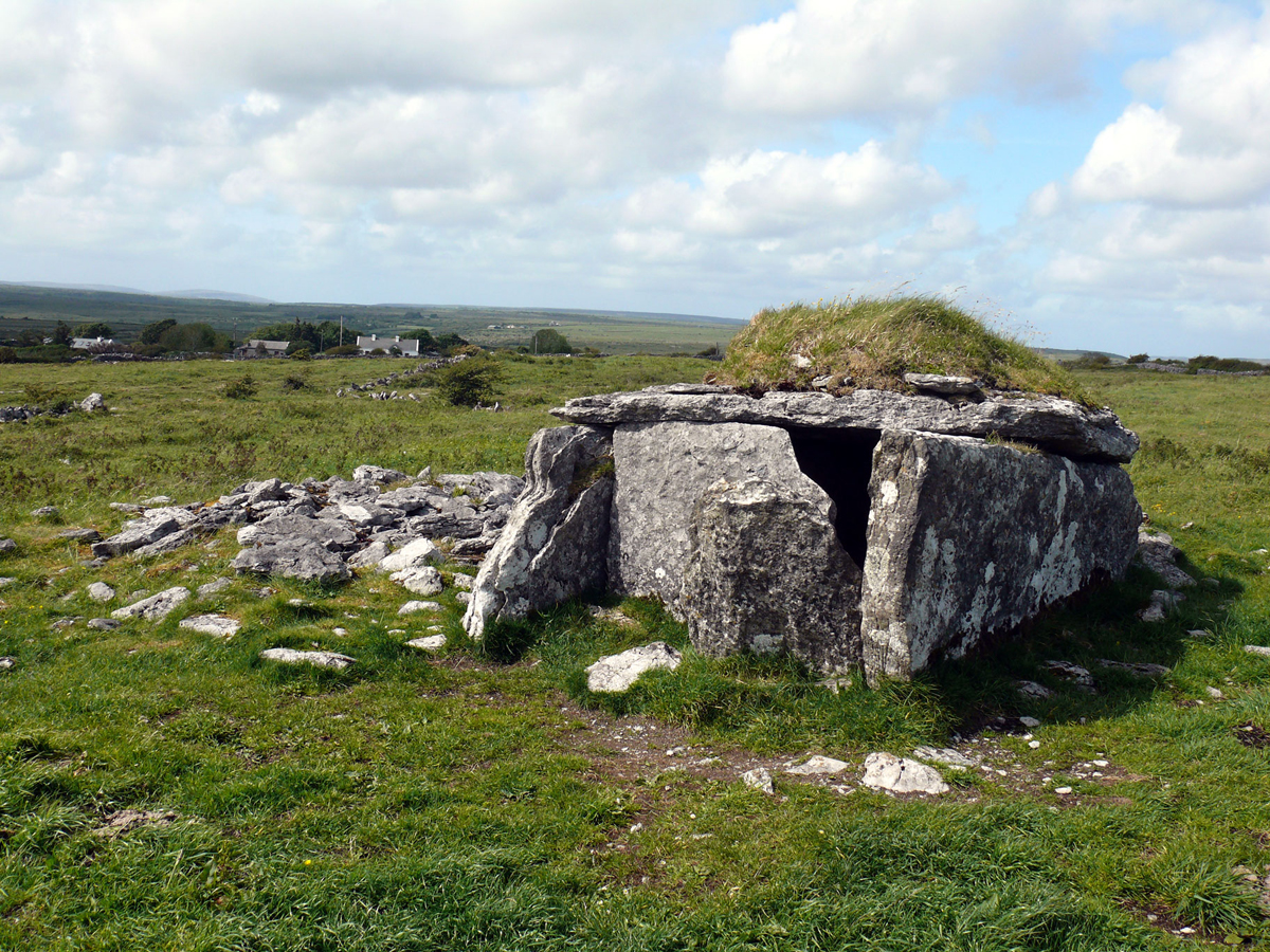 Ancient Burials at Parknabinnia Wedge Tomb: Killinaboy, Co Clare