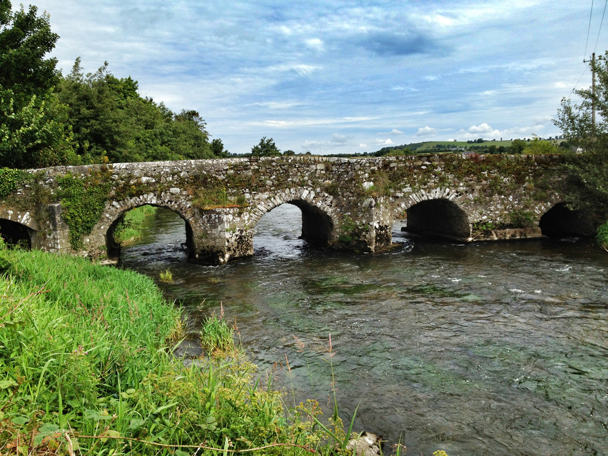 Ballyartella Bridge, Weir, and Castle: Ballyartella, Co Tipperary