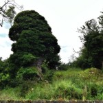 Ballyartella Caste Ruins - Photo by Corey Taratuta