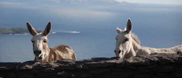 Pull-off at Coomatloukane: Loher, Co Kerry