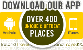 Download Our App