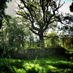 St Berrihard's Kyle, Co Tipperary