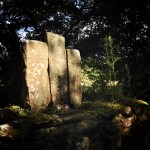 Carved Stones at St Berrihard's Kyle, Co Tipperary