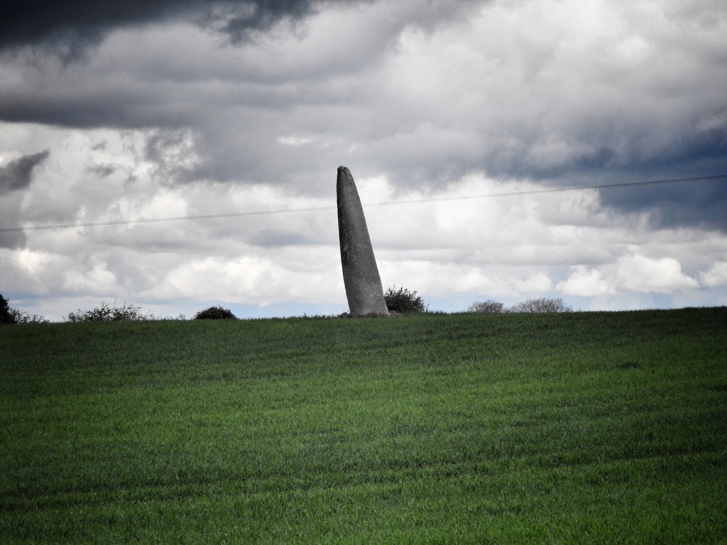 Craddockstown West Standing Stone: Co Kildare