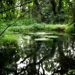 St Berrihard's Well, Co Tipperary