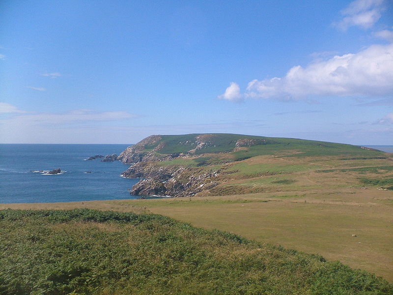 The Saltee Islands – An Unrivalled Bird Sanctuary in Ireland’s Sunny Southeast