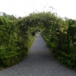 Portumna Castle - Photo by Tony Calland