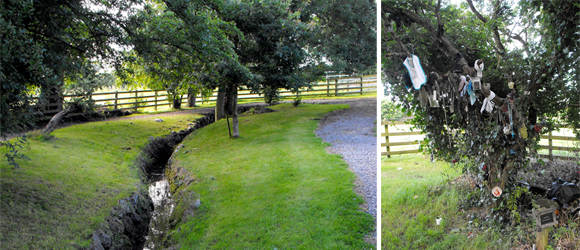 Killeigh Holy Well and Rag Tree: Killeigh, Co Offaly