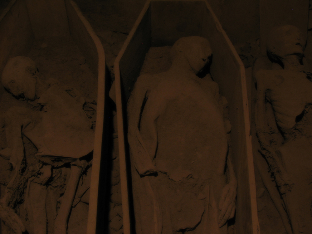 Mummies in the Crypt at St. Michan’s Church: Smithfield, Co Dublin