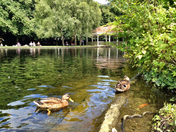 Today's residents of St Stephen's Green