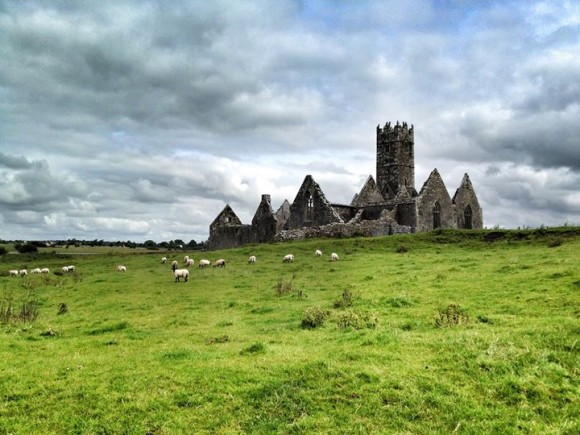 Ross Errilly Friary, County Galway - photo by Corey Taratuta