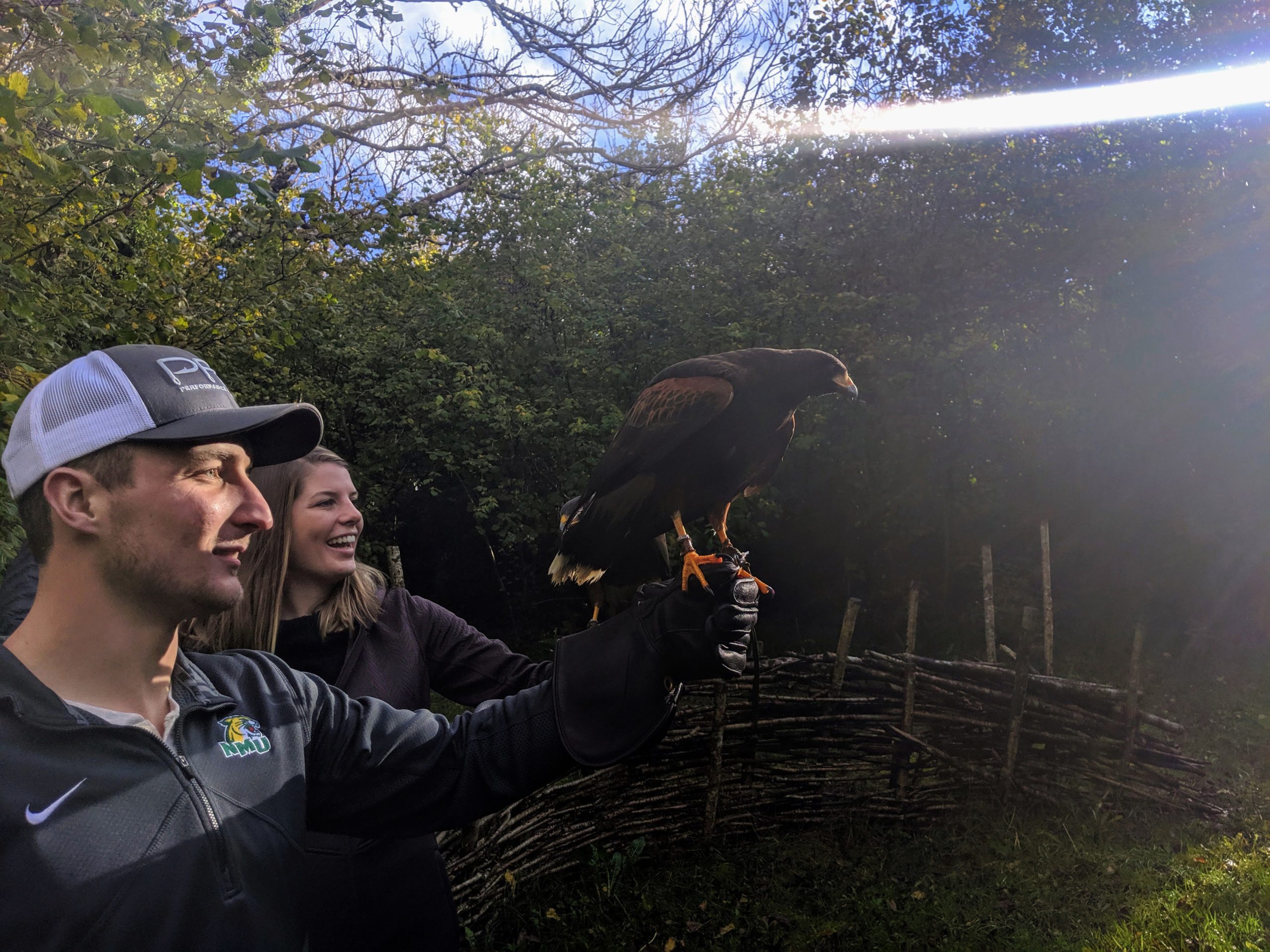 An Incredible Walk with a Hawk, Co. Clare