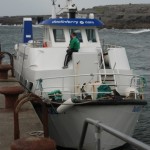 Cliffs of Moher Boat Cruise - Photo by Wandering Educators