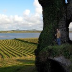 Ballycarbery Castle - Photo by Corey Taratuta