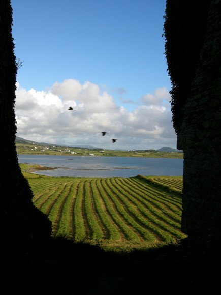 Ballycarbery Castle - Photo by Corey Taratuta