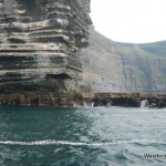Cliffs of Moher Boat Cruise - Photo by Wandering Educators