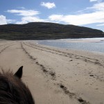 Eagle Rock Equestrian Centre - Photo by Jessie Voigts